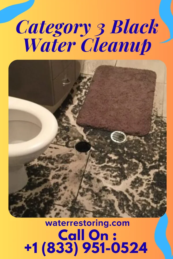 Category 3 Black Water Cleanup in Morgan, UT
