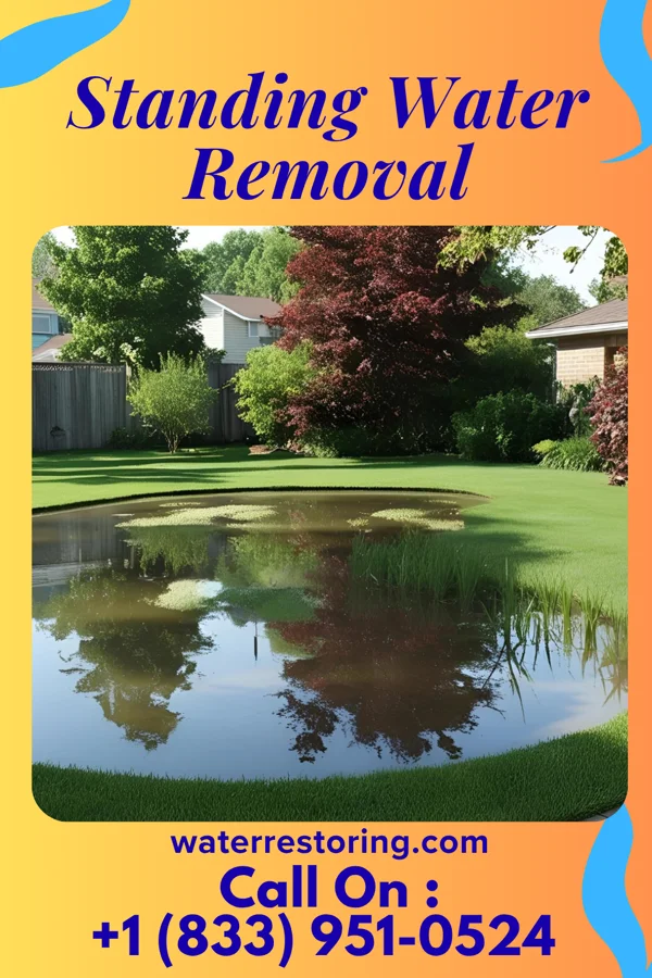 Standing Water Removal in Morgan, UT